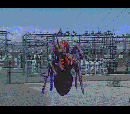 screen shot