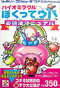 Japanese Guidebook