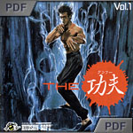 The Kung Fu manual