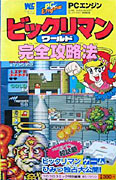 Japanese Guidebook