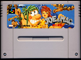 game cartridge