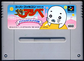 game cartridge