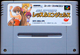 game cartridge