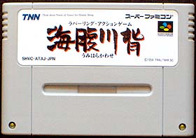 game cartridge